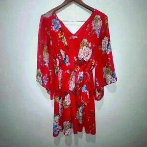 Beautiful chiffon Bailey Blue Dress, Woman’s size Large! Red Floral design.